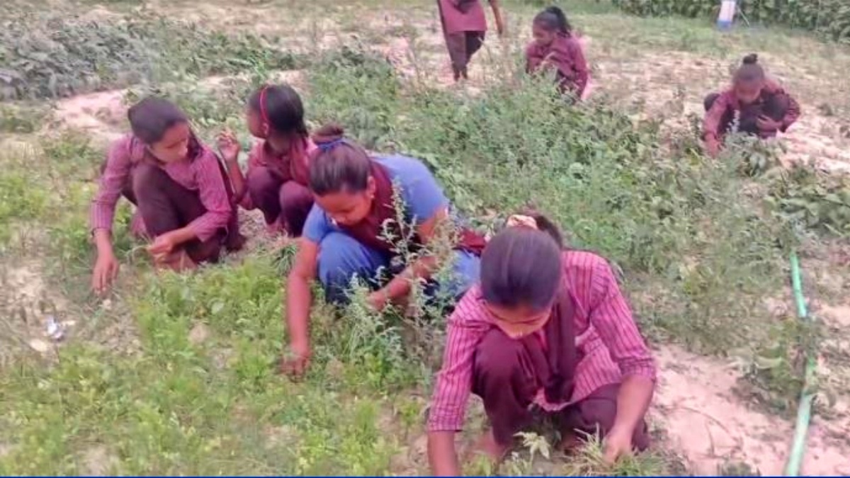 ಮಕ್ಕಳಿಗೆ ಕೃಷಿ ತರಬೇತಿ