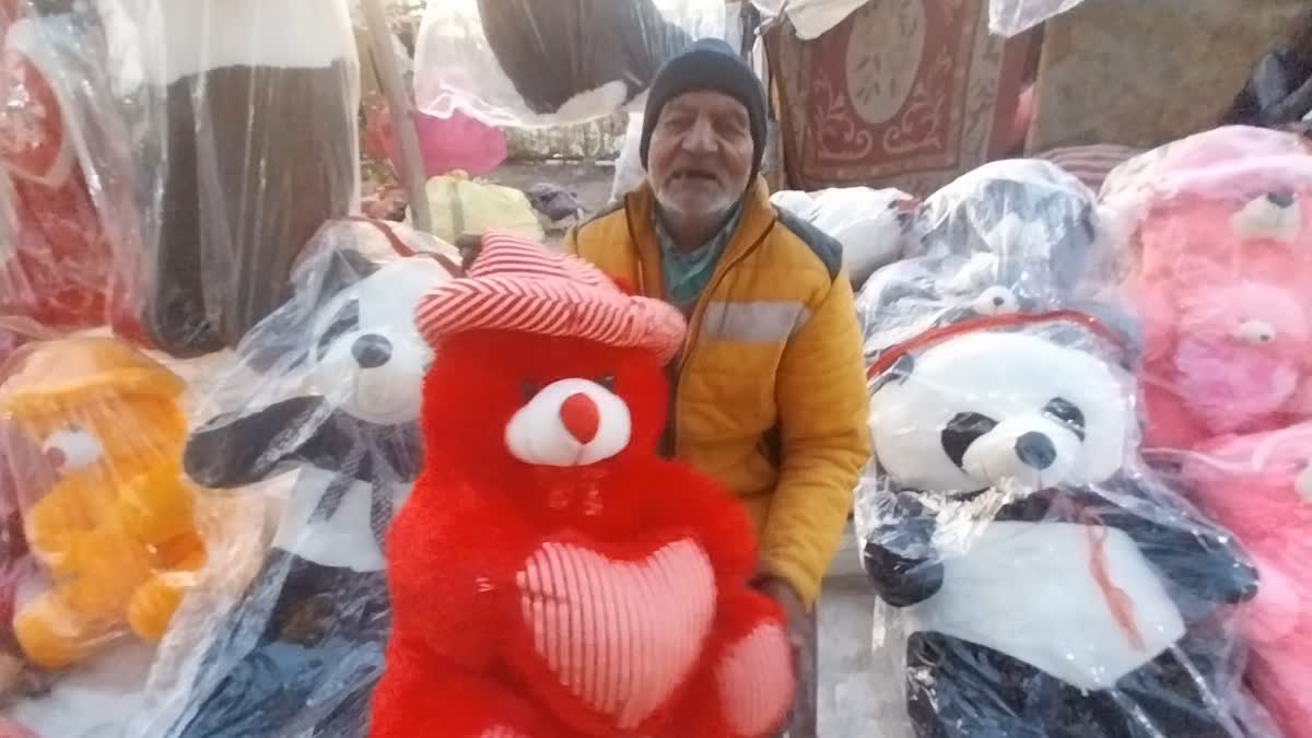 Teddy day special 2024