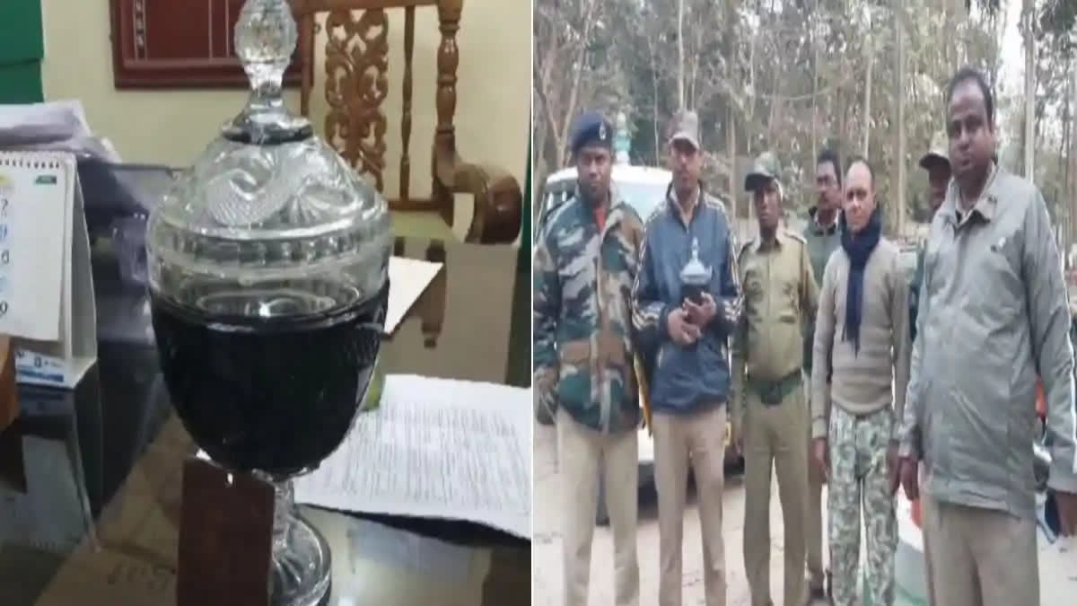 BSF Arrests Trafficker in South Dinajpur, Recovers Glass Jar of Bharti Snake Venom Worth Rs 12 Cr