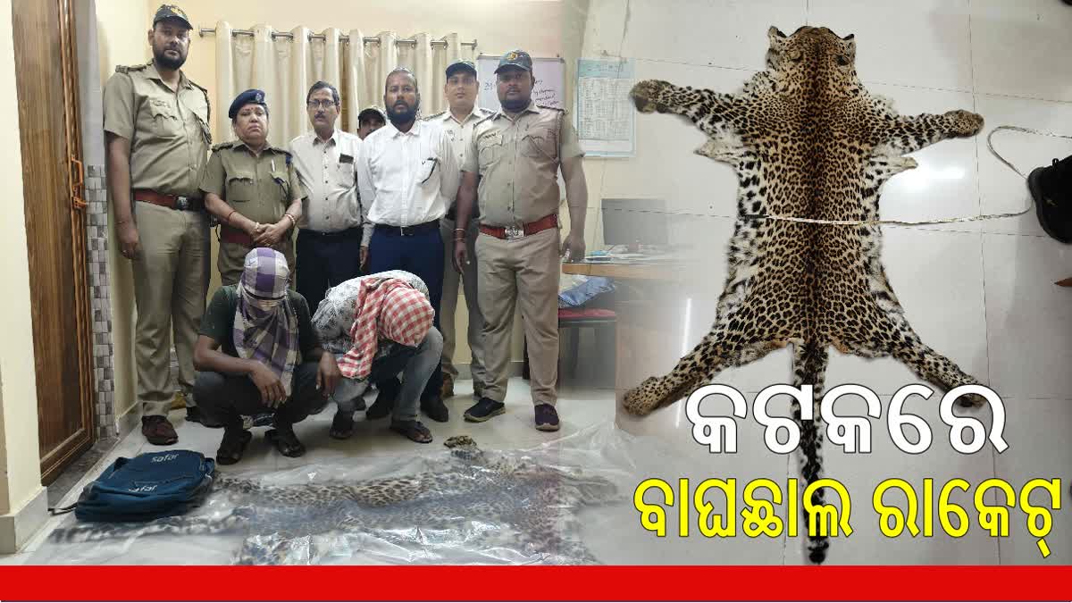 2 Tiger Skin Smugglers Arrested