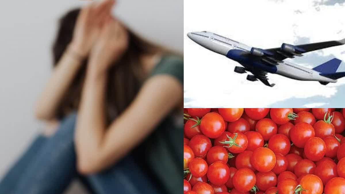 Pilot Teasing Woman With Tomatoes