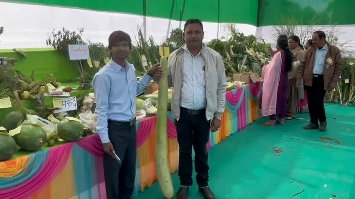 Latehar Agricultural Fair