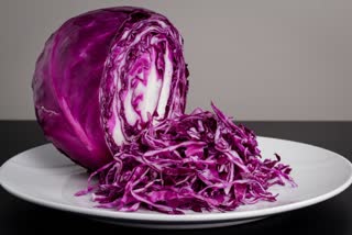 Purple Cabbage News