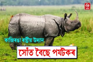 Kaziranga National Park