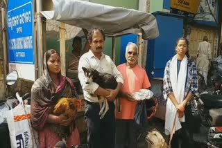 Veterinary Doctors Strike