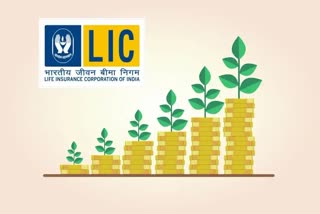 LIC Index Plus Policy benefits