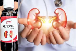 Kidney stone treatment  Fake medicines for kidney stones  മൂത്രക്കല്ല്  വ്യാജ മരുന്നുകൾ