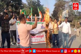 BJP protest in Dhemaji