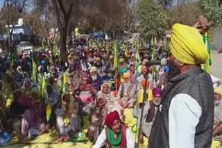 At Mansa, farmers continued their sit-in outside the DC office on the fourth day