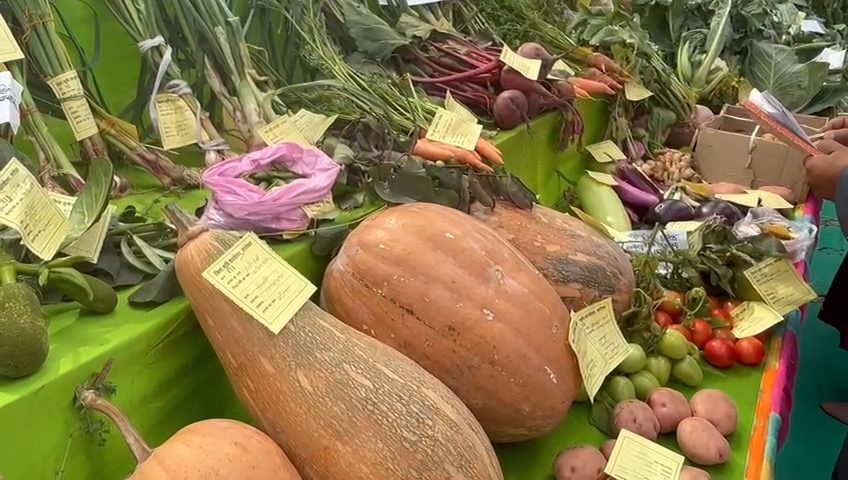 Latehar Agricultural Fair