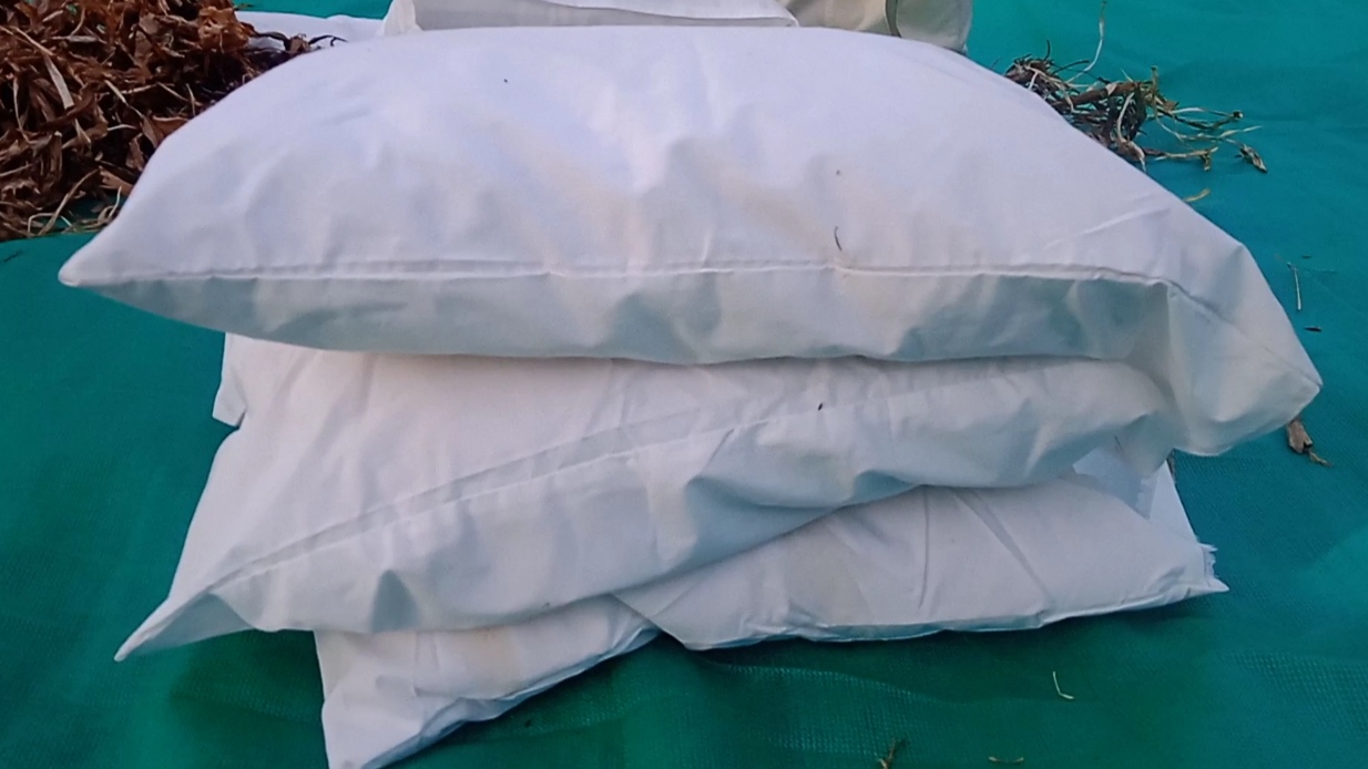 Sagar Medicinal Pillow