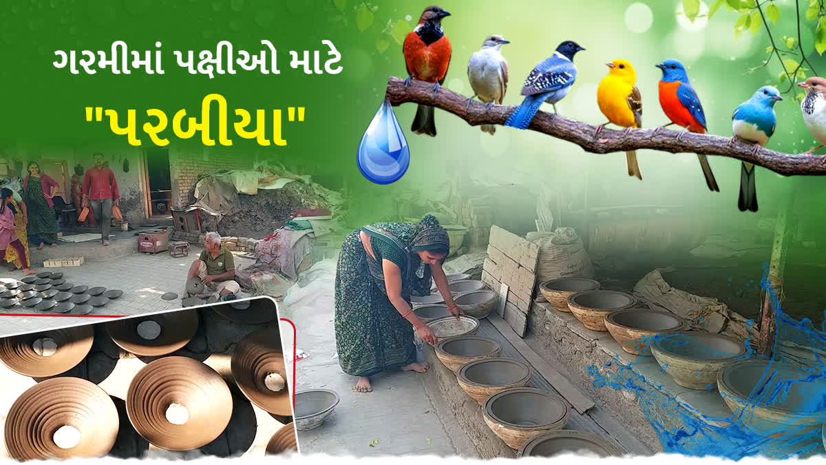 ભાવનગરના કુંભારો અબોલ પક્ષીઓ માટે માટીના પરબીયા બનાવે છે.