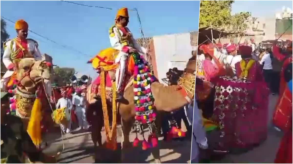 DESERT FESTIVAL 2025