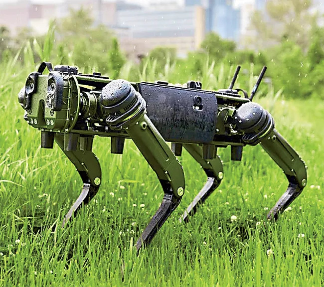 Robotic Mule