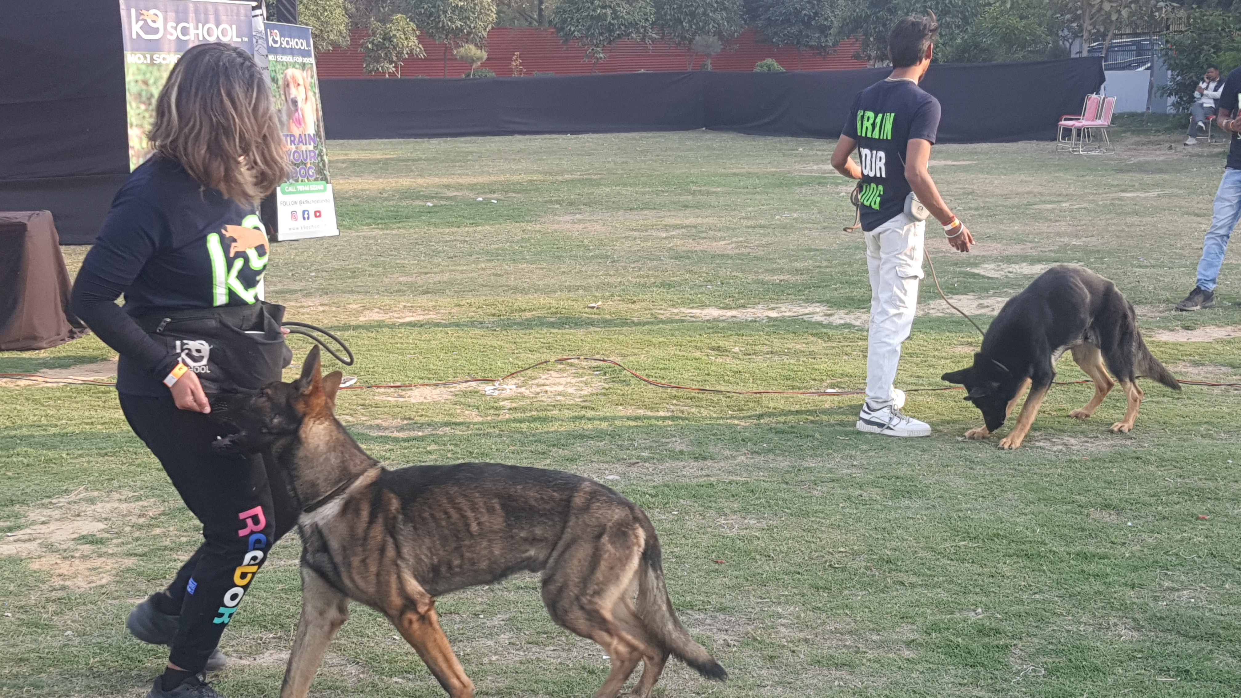 डॉग शो में कुत्तों के साथ मालिक