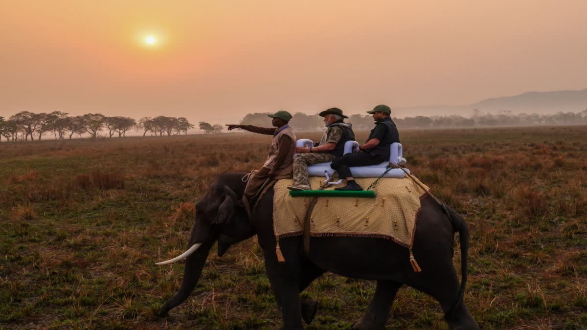 PM Modi takes elephant ride at Kaziranga National Park Assam (photo ANI VIDEO)