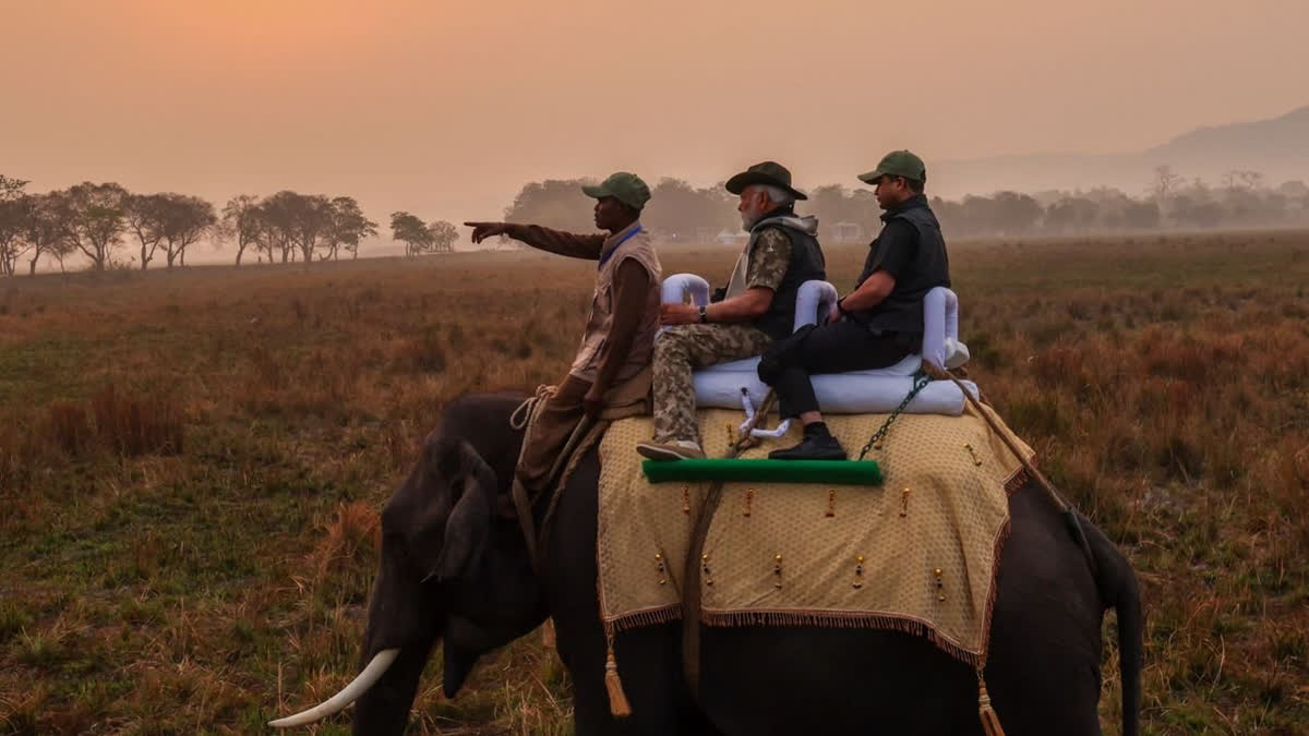 PM Narendra Modi took an elephant and jeep safari in the Kaziranga National Park