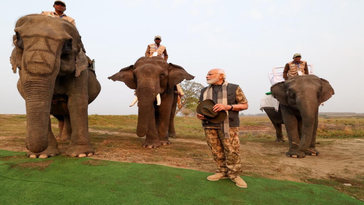 PM Modi Visits Assam's Kaziranga National Park