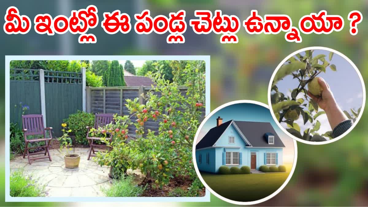 Vastu Rules For Fruit Trees