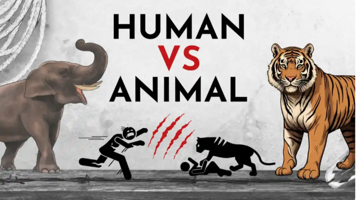 Man Animal Conflicts