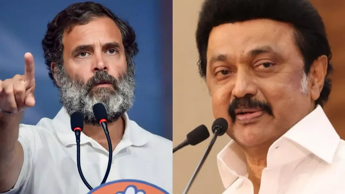 After several rounds of parleys over the past weeks, the Congress and the DMK announced the INDIA bloc’s seat-sharing for the coming Lok Sabha polls in order to give a message to the rivals AIADMK and BJP.