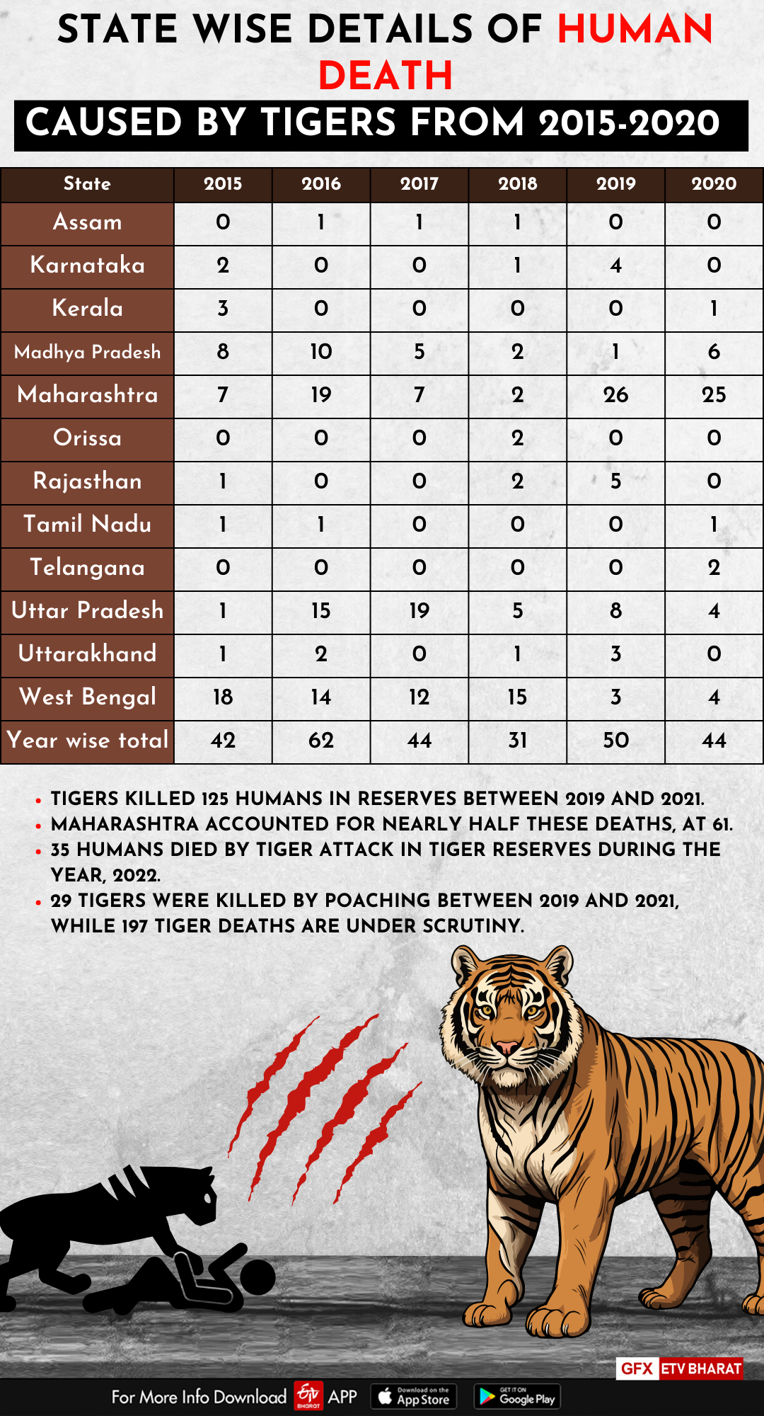 Man Animal Conflicts  Wild Animals  വന്യ ജീവി ആക്രമണം  വന്യജീവികള്‍