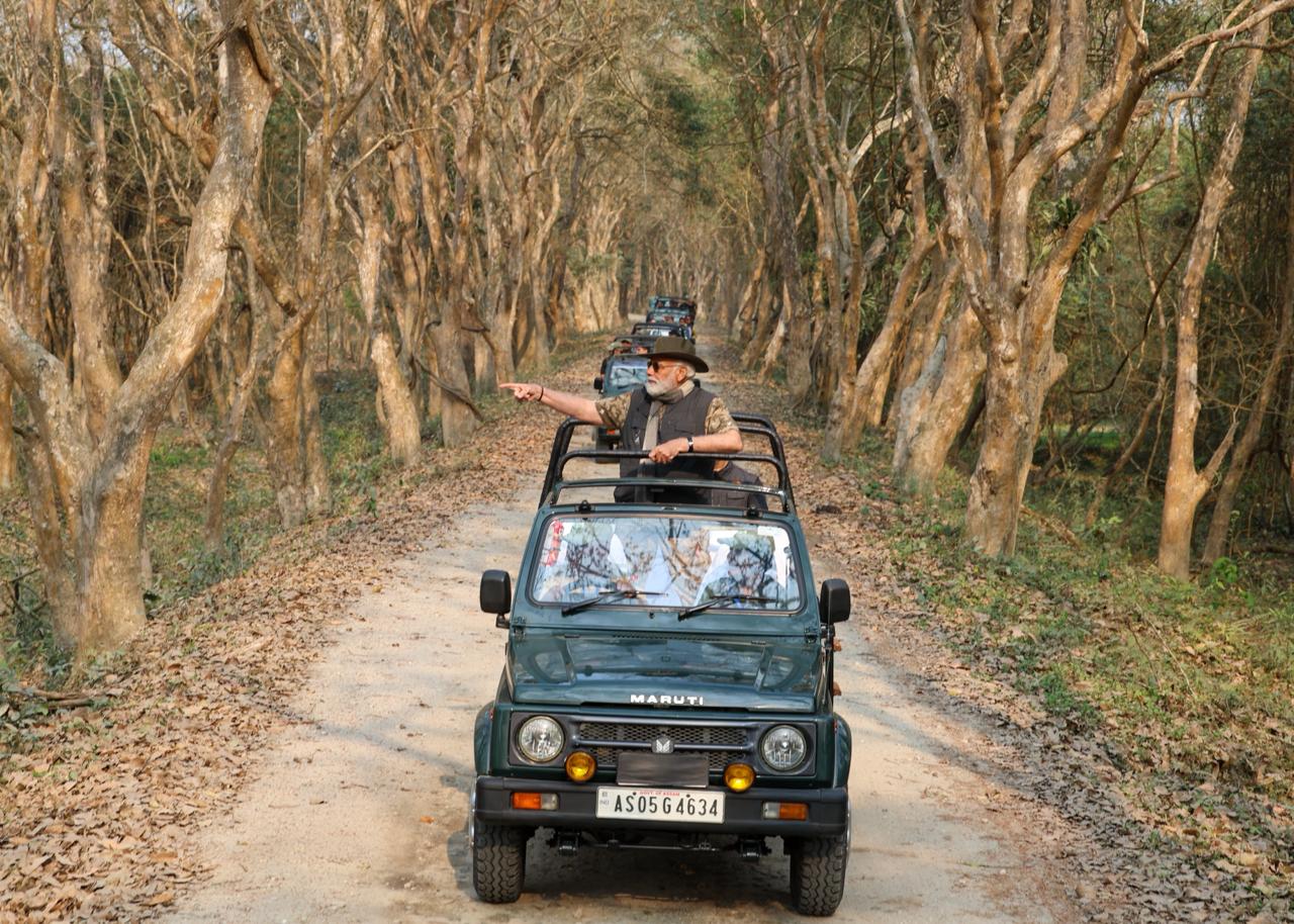 PM Modi at Kaziranga National Park  കാസിരംഗ ദേശീയോദ്യാനം അസം  Elephant Ride Of PM  പ്രധാനമന്ത്രിയുടെ ആന സഫാരി