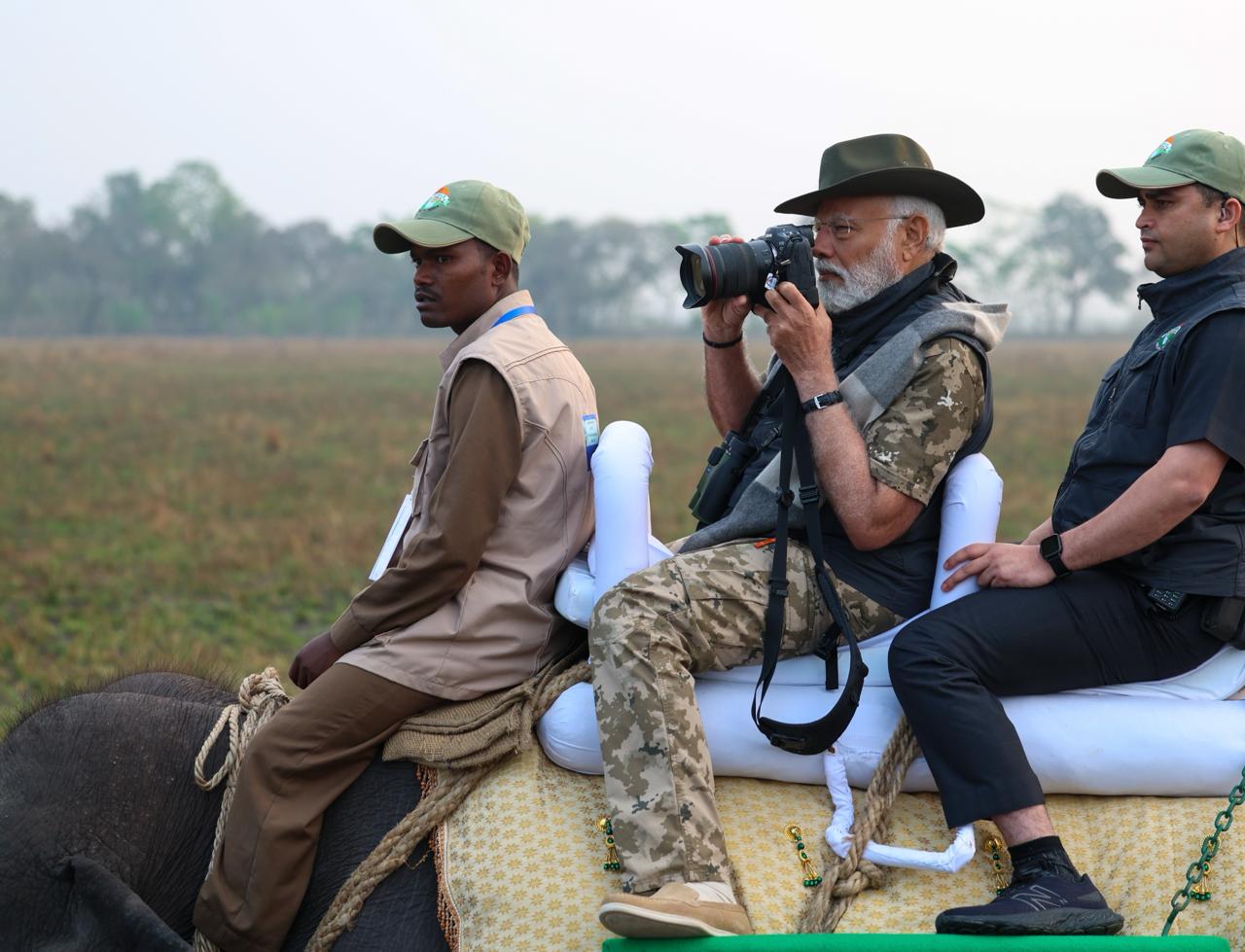 PM Modi at Kaziranga National Park  കാസിരംഗ ദേശീയോദ്യാനം അസം  Elephant Ride Of PM  പ്രധാനമന്ത്രിയുടെ ആന സഫാരി