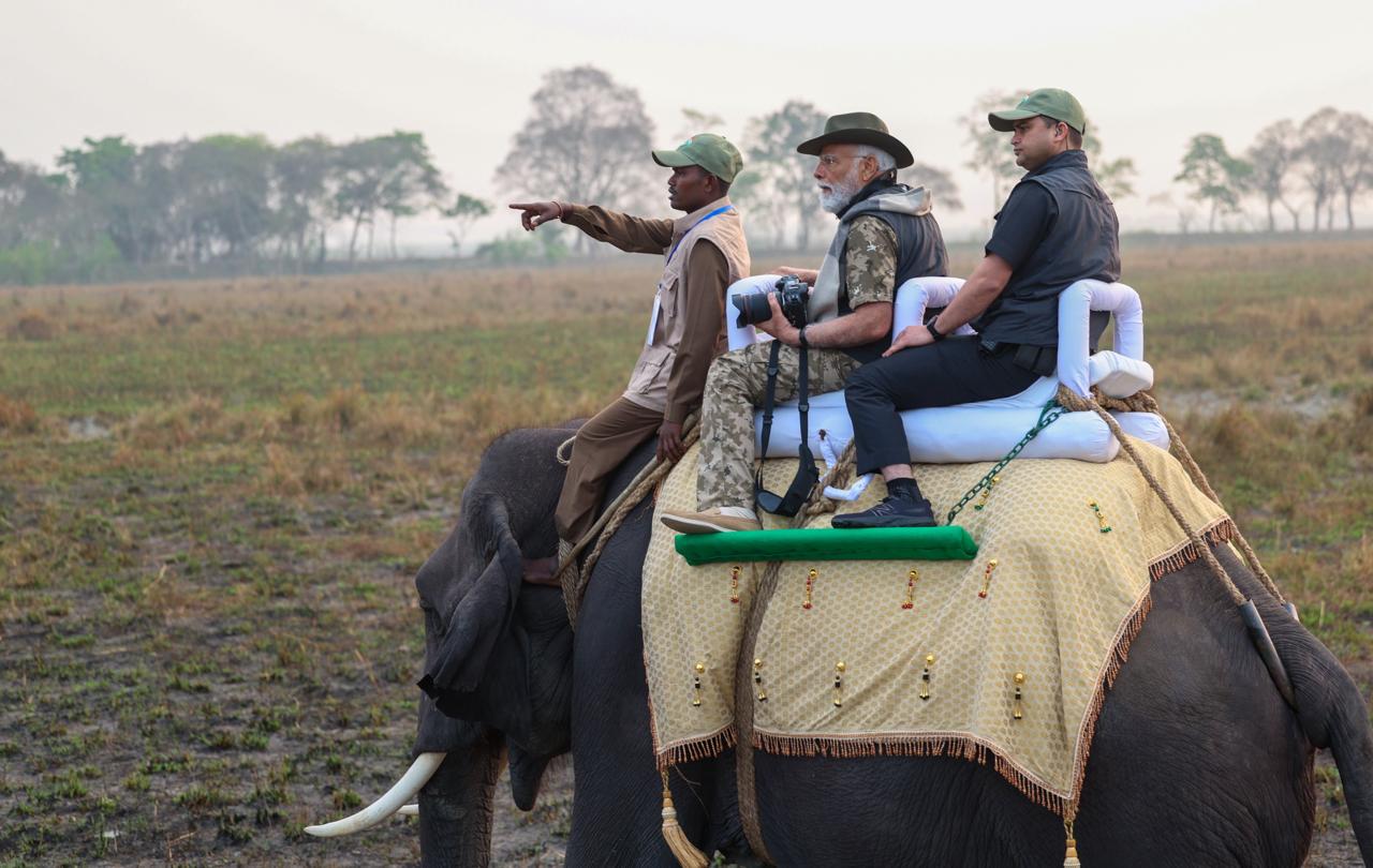 PM Modi at Kaziranga National Park  കാസിരംഗ ദേശീയോദ്യാനം അസം  Elephant Ride Of PM  പ്രധാനമന്ത്രിയുടെ ആന സഫാരി