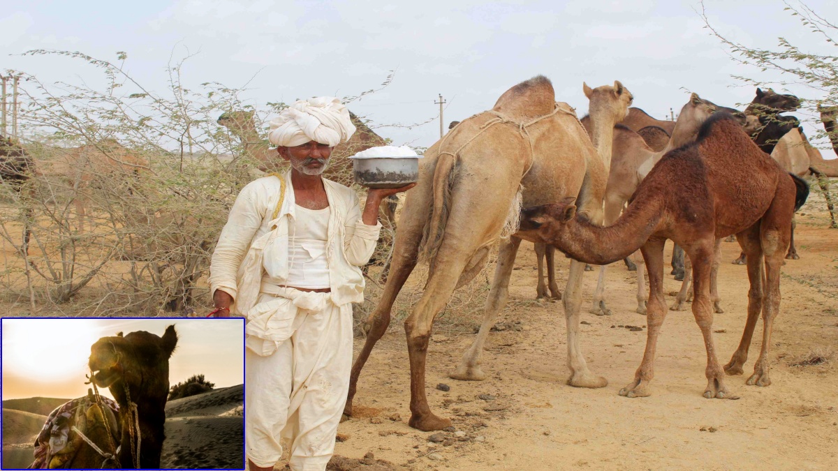 સૌ પ્રથમવાર નેશનલ કોન્ફરન્સ