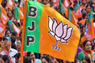 BJP Focus on MP Elections