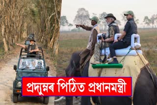 PM Modi in kaziranga national park