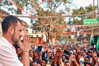 Gujarat: Rahul Gandhi's Bharat Jodo Nyay Yatra reached Chhotaudepur (Photo ETV Bharat Network)