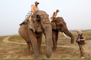 Kaziranga National Park