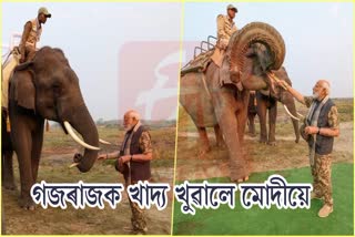 Modi fed Sugarcane to elephants