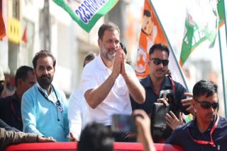 Rahul should contest from Amethi