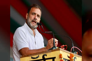 Highlighting Congress's resolve to conduct a caste census if voted to power, Rahul Gandhi said that conducting a caste survey will provide correct reservations, rights and share to everyone.