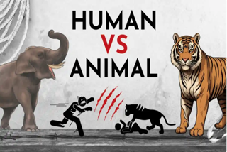 Man Animal Conflicts