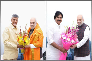 Telugu Desam Party (TDP) president N Chandrababu Naidu Saturday announced that his party and Pawan Kalyan's JanaSena had finalised an alliance with BJP in what he called was a win-win situation for both the country and the southern state.