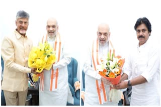 Chandrababu Naidu's TDP, Pawan Kalyan's JanaSena Finalise Alliance With BJP
