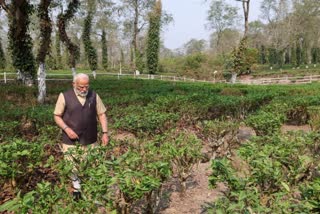 PM Narendra Modi visited tea garden