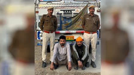 Illegal doda sawdust worth Rs 3 crore seized