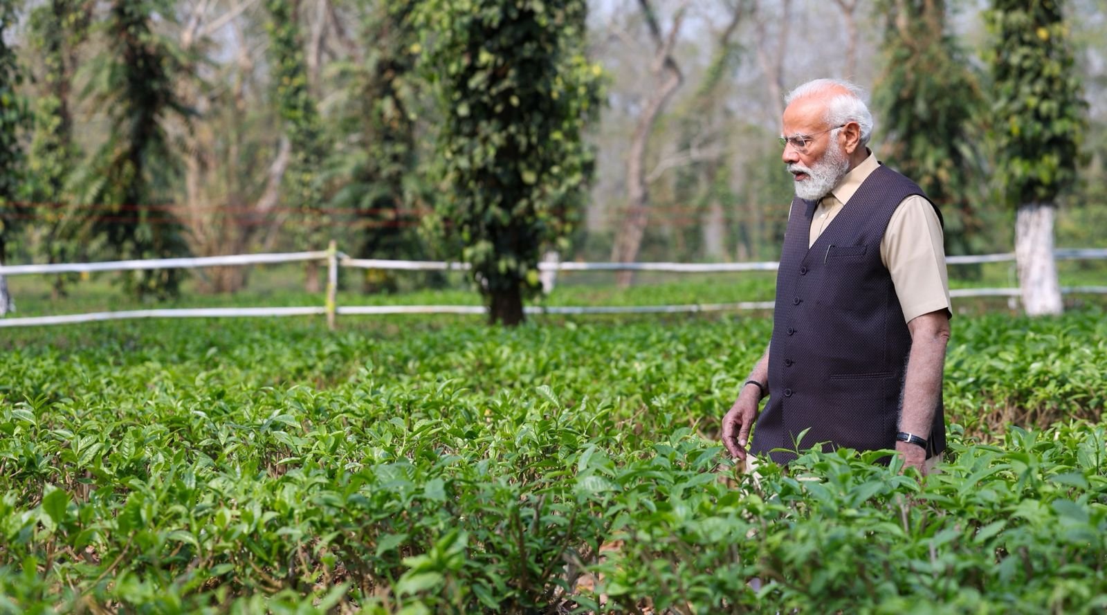 PM Modi spends time at tea garden in Assam