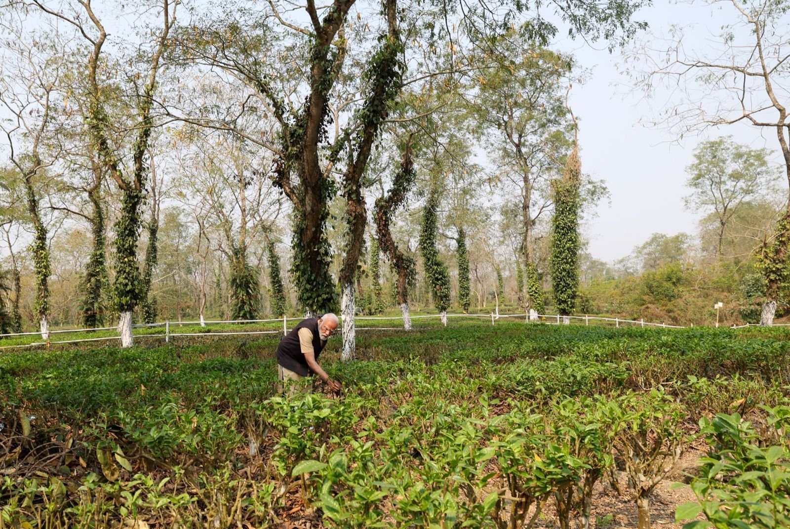 PM Modi spends time at tea garden in Assam