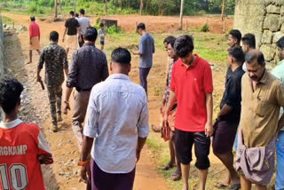 TIGER IN MAMPAD  MAMPAD ELAMPUZHA TIGER  MAN WILD ANIMAL CONFLICT  മമ്പാട് പുലി ആക്രമണം