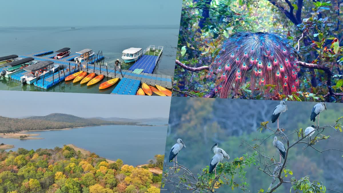 DEBRIGARH ECOTOURISM