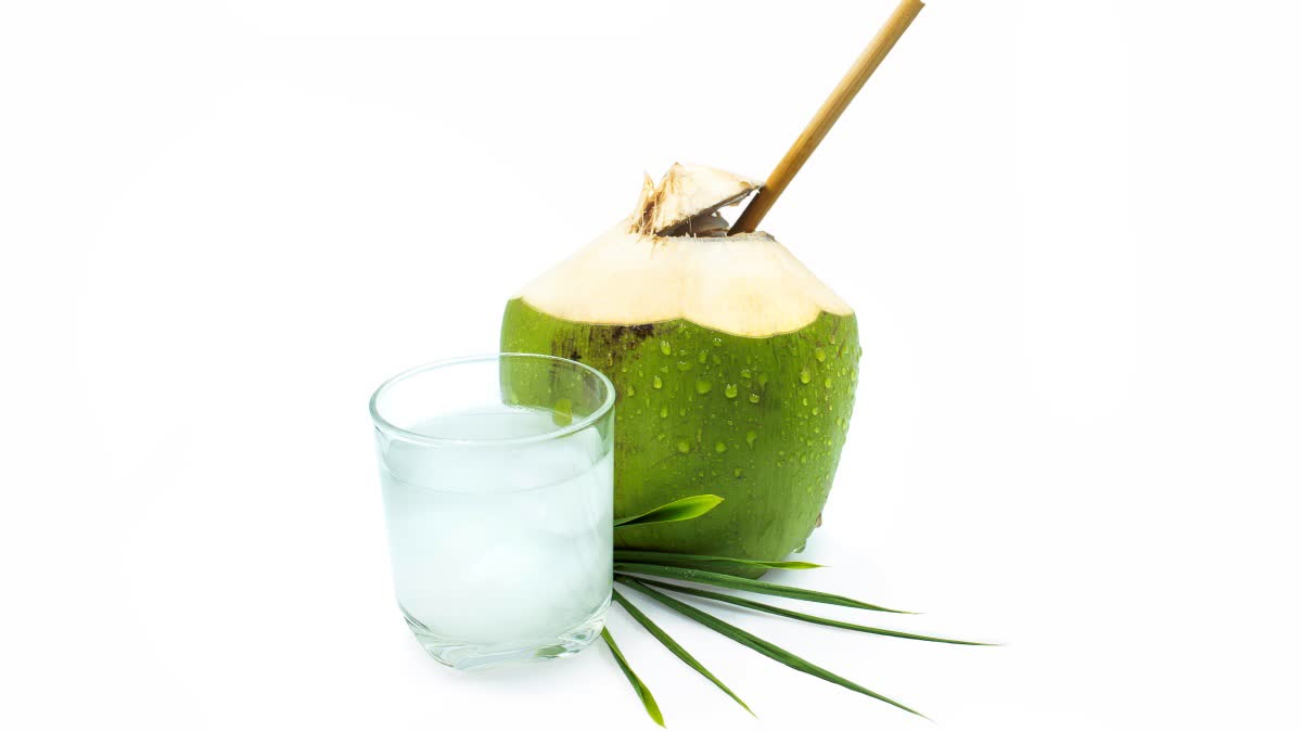 Coconut Water Side Effects In Telugu