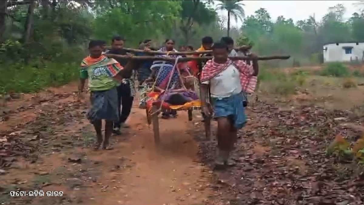 patient carried on cot