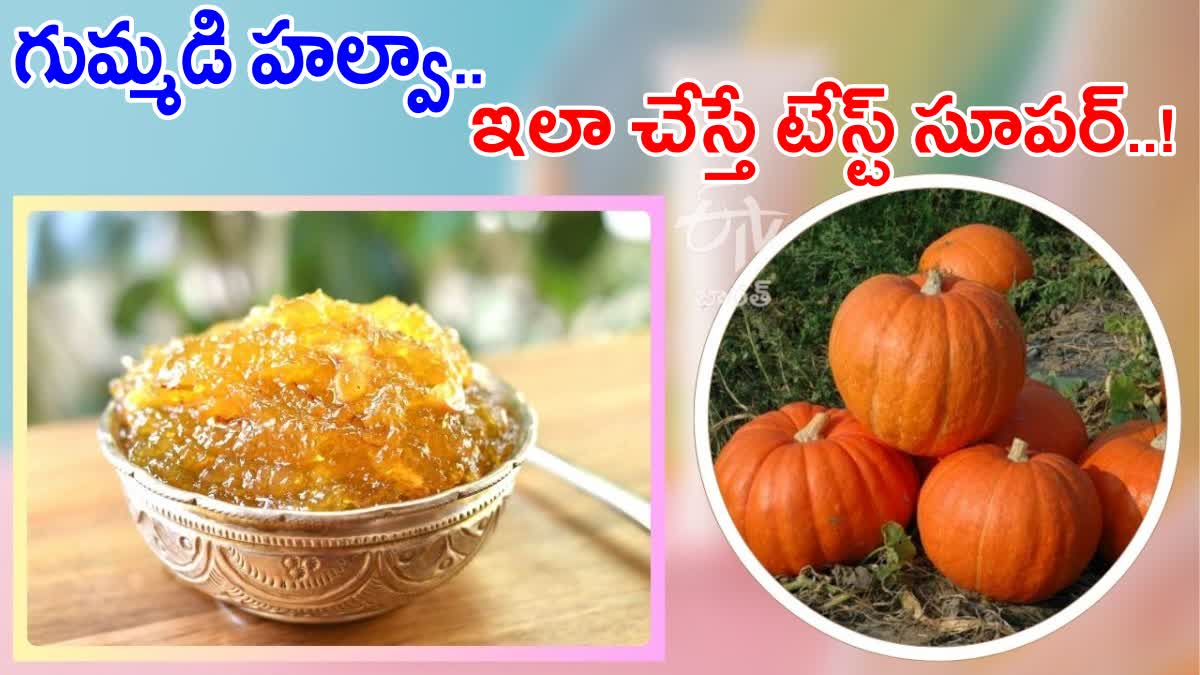 Pumpkin Halwa Recipe At Home