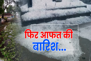 mp weather update  heavy rainfall in many districts hailstorm in balaghat